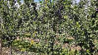Bild 13863