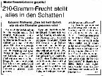 Bild 13907