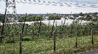 Bild 13919