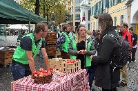 Bild 14022