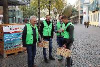 Bild 14042