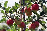 Bild 14047