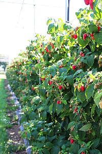 Bild 14072