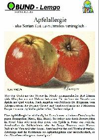 Bild 14258