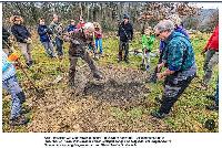 Bild 14285