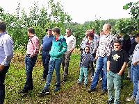 Bild 14295