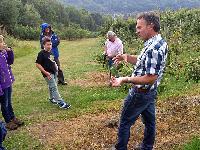 Bild 14296