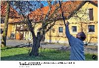 Bild 14355