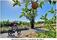 Bild 14615