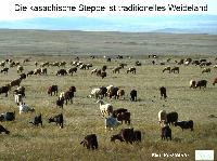 Bild 14673