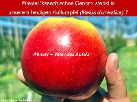 Bild 14676