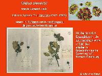 Bild 14683