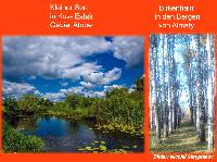 Bild 14686
