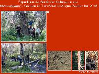 Bild 14687