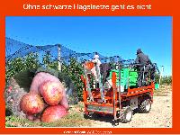 Bild 14695