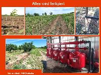 Bild 14698