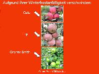 Bild 14701
