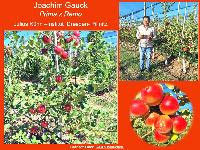 Bild 14704