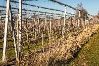Bild 14751