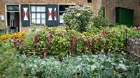 Bild 14838